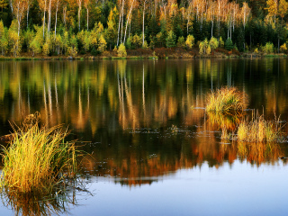 汤旺河国家森林公园