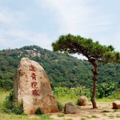 莲青山
