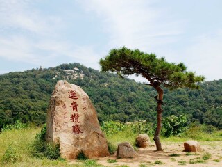 莲青山