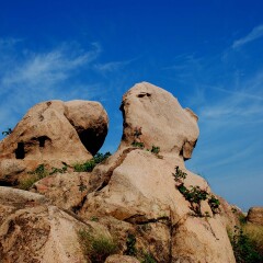 莲青山