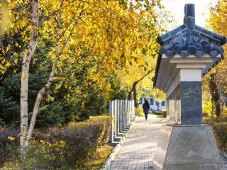 北大荒书法长廊