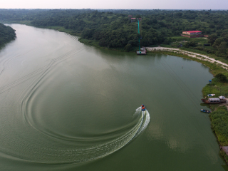 大青沟自然保护区
