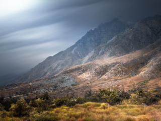 贺兰山自然保护区