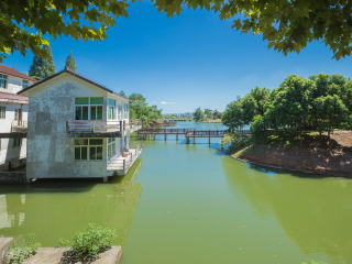 宣城中国鳄鱼湖