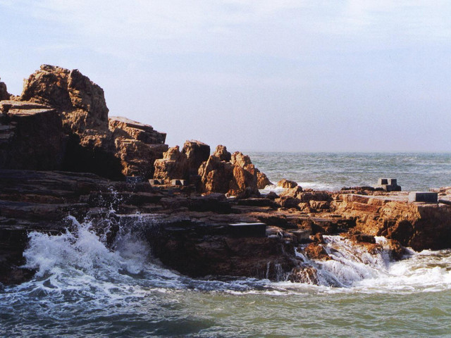 榮成成山頭海驢島1日遊純玩無購物中國東方天盡頭海鷗王國一場不可