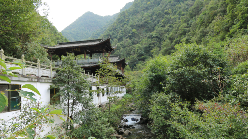 石礼村人口_秦许乡扎那村人口(3)