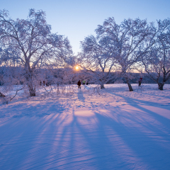 大秃顶子山风景区 景点模块