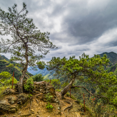 水墨汀溪 景点模块