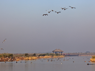 黄河口生态旅游区