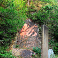 梅关古道