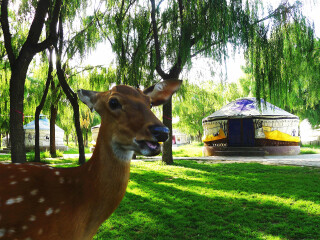 赛汗塔拉生态园