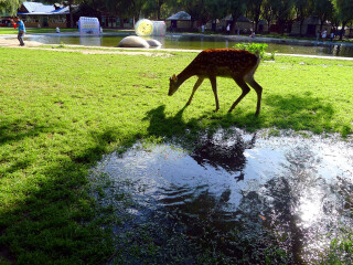 赛汗塔拉生态园