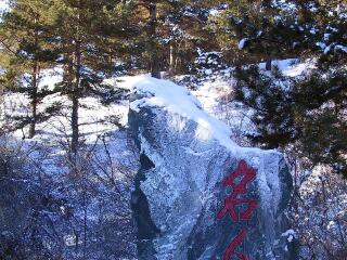 海拉尔国家森林公园