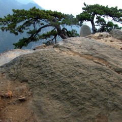 龙首崖