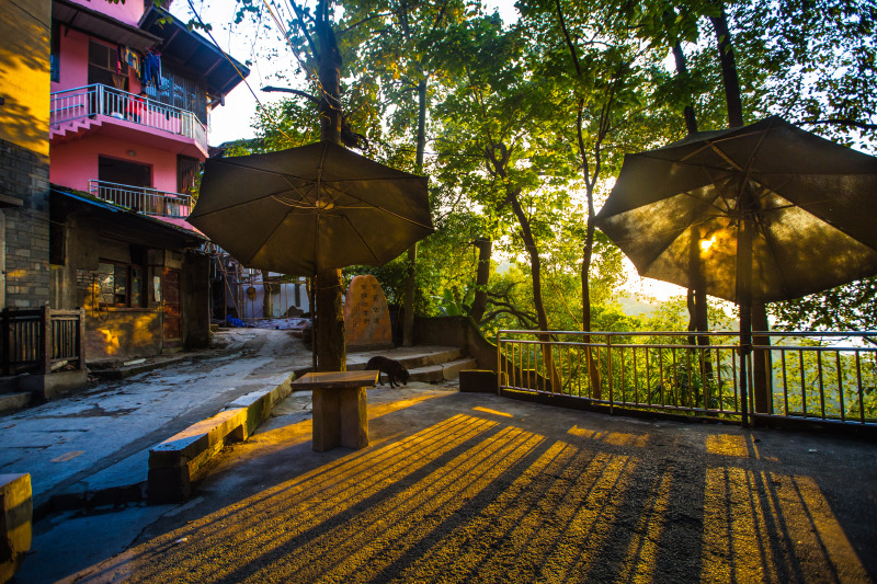 夕阳下的黄葛古道_重庆游记_途牛