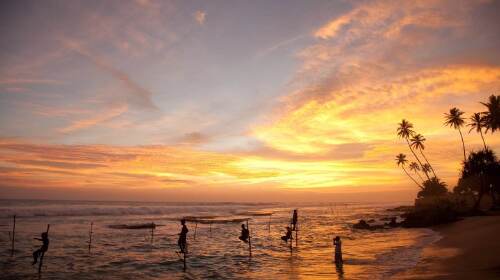 斯里兰卡科伦坡+南部海岸+马尔代夫6晚8日游