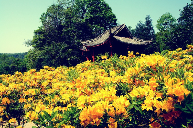 丹景山門票價格-丹景山門票預訂-丹景山門票多少錢