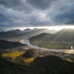 金色楠溪