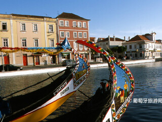 阿维罗运河中心