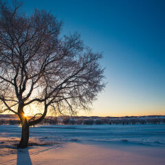 冬季乌兰布统草原的日出
