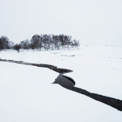 内蒙古自然风光,乌兰布统