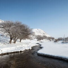 内蒙古自然风光,乌兰布统