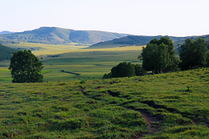 那个叫做甄采牧场的草原