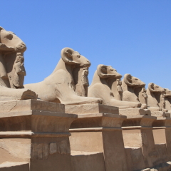 Avenue of ram-headed sphinxes, Temples of Karnak, Luxor, Egypt
