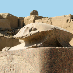 Scarab Beetle Represented Rebirth in the Egyptian Religion