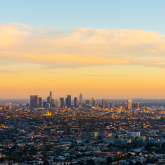 Los Angeles city
