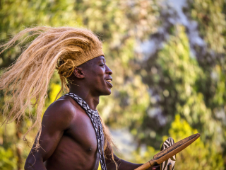 卢旺达火山国家公园