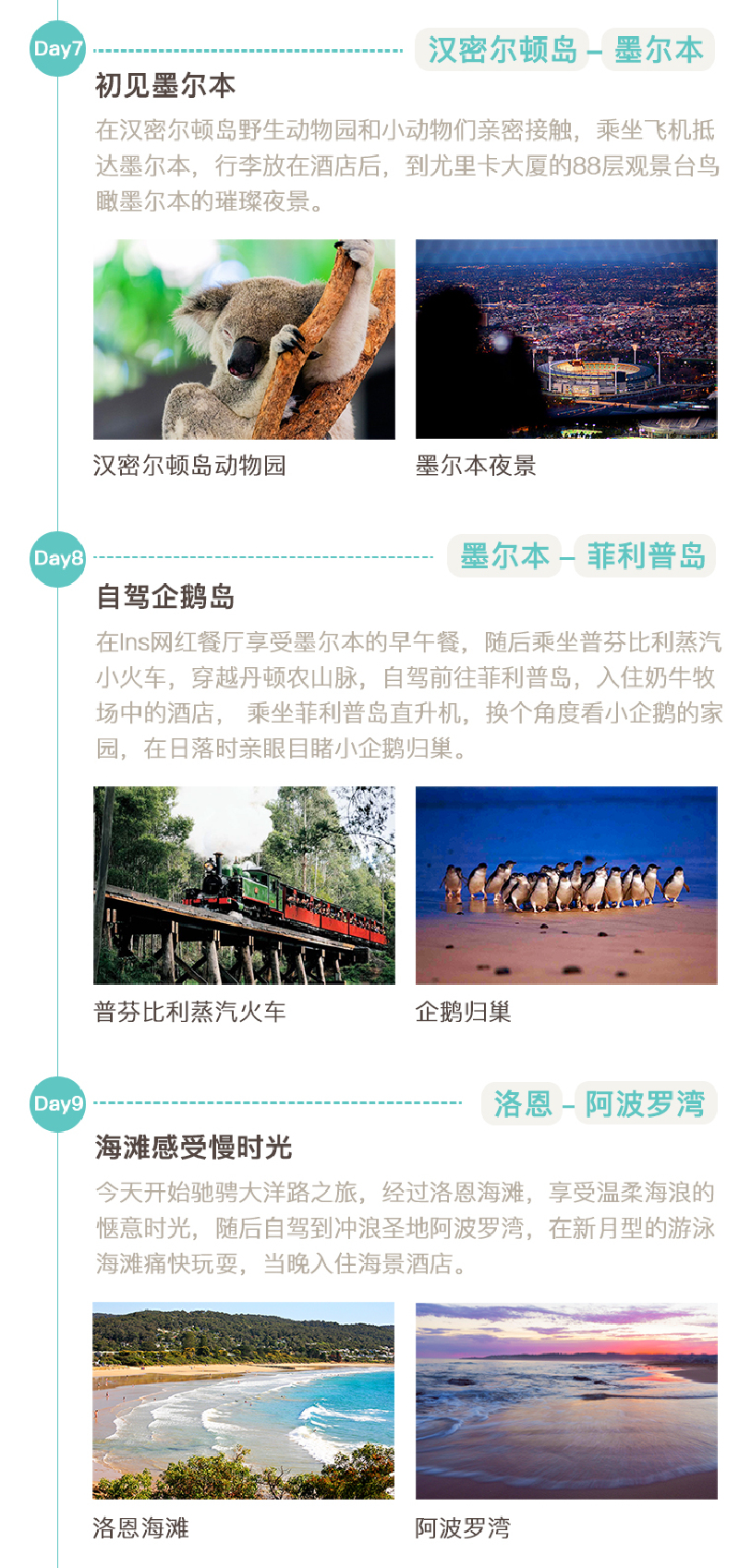 星光蜜月澳大利亚12日定制游 《花儿与少年》