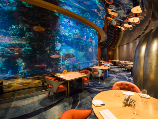 七星级帆船酒店