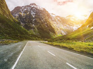 新西兰国家博物馆