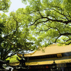 中国,浙江,普陀山,大圆通殿,普济禅寺,普济寺景区