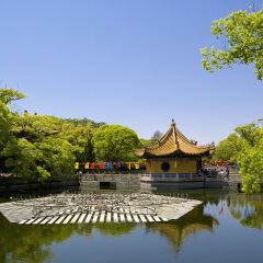 中国,浙江,普陀山,普济寺景区,海印池,