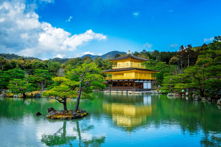 [春节]<日本东京+箱根+富士山6或7日游>正班直飞/1晚温泉/日游富士山/ABC线全跟团/A线静冈伊豆/BC线京东奈良双古城/D线东京1天Free/含京津冀往返接送