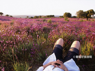 塔古斯国际自然公园