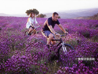 塔古斯国际自然公园