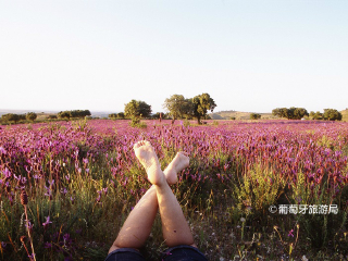 塔古斯国际自然公园