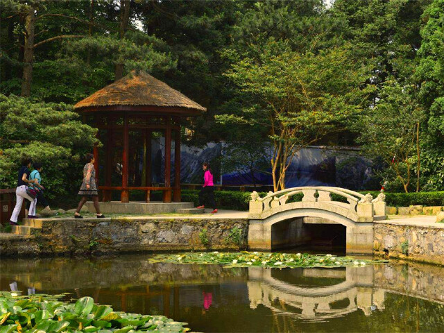  江西庐山山上-锦绣谷-三叠泉双高3日游>庐山避暑22