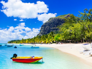 毛里求斯海豚湾