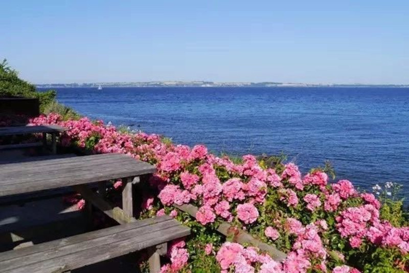 北青旅居纪念海子从明天起面朝大海春暖花开