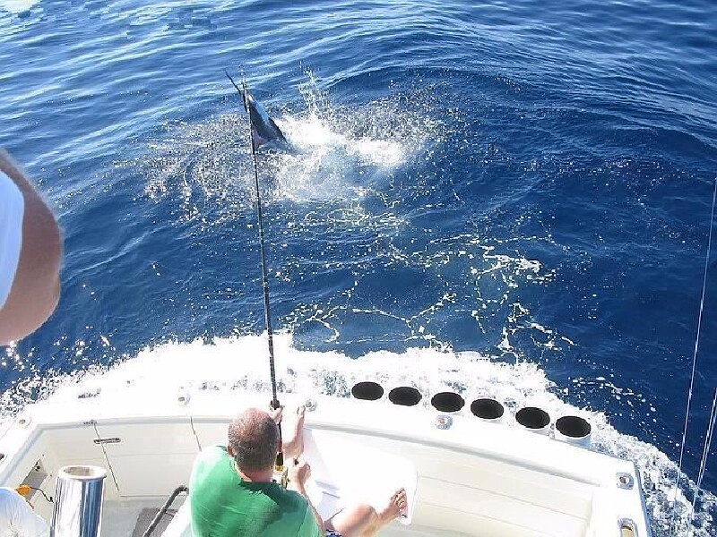 厦门游艇出海海钓
