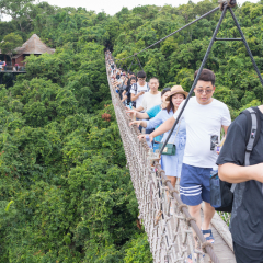 Tourists are walking on a wooden suspension bridge in the park of Yalong Bay Tropic Paradise Forest. China, Yalongwan Rd, Jiyang Qu, Sanya Shi, Hainan Sheng, November 12, 2017. EDITORIAL