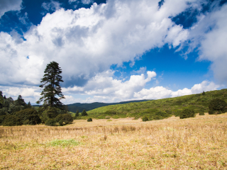 攀枝花格萨拉生态旅游区