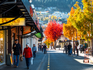 奔驰集团（新西兰）