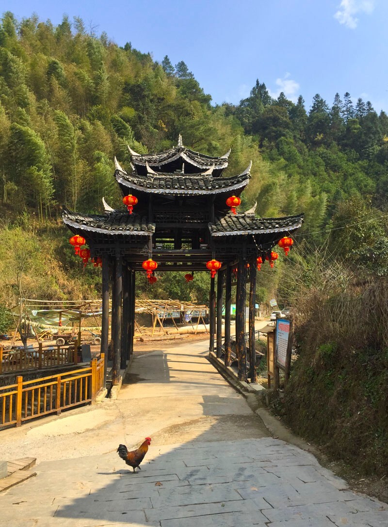 【首发】走进九龙叠翠 探访地笋苗寨_怀化游记_途牛