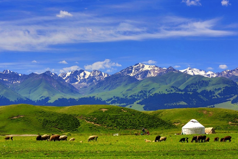 【大美新疆】感受最美北疆大环线 9天8晚行程最完整攻略_喀纳斯景区