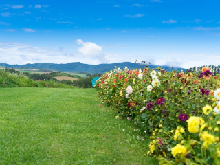 丽山音乐农场-度假别墅